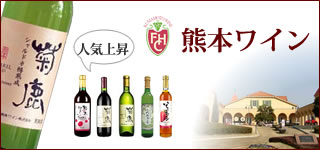���ܥ磻�������